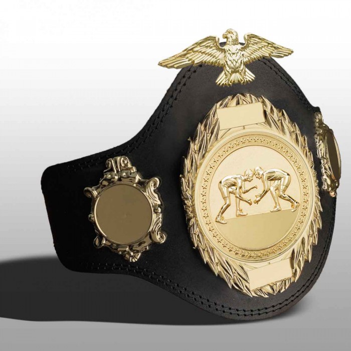 GRAPPLING CHAMPIONSHIP BELT-PLT288/G/GRAPG-4 COLOURS